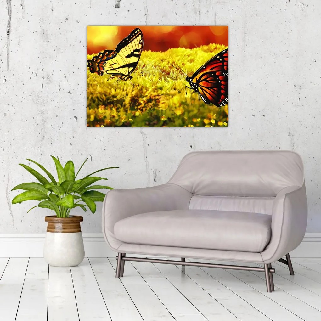 Tablou cu fluturi (70x50 cm)