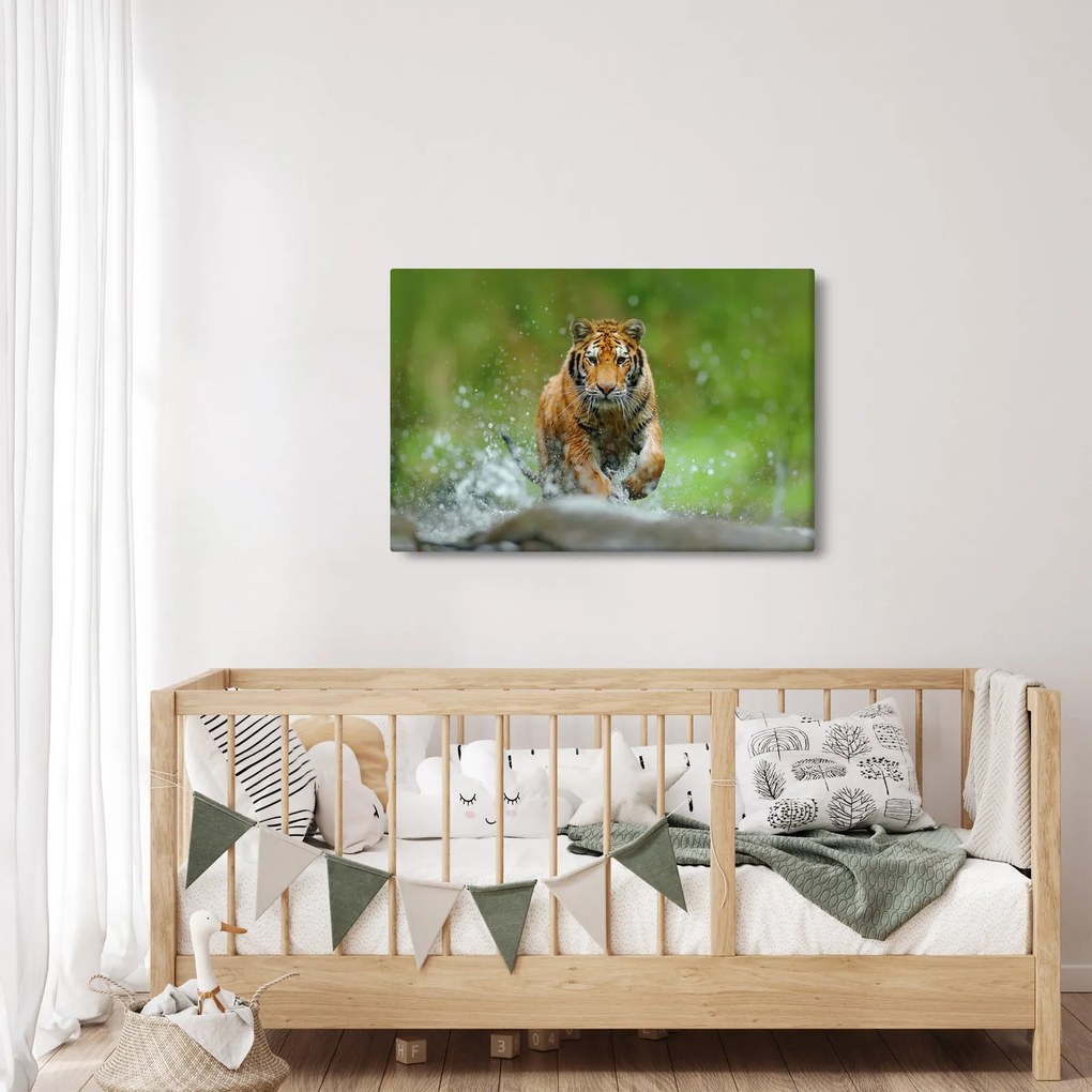 Tablou - Tigru care aleargă (90x60 cm)