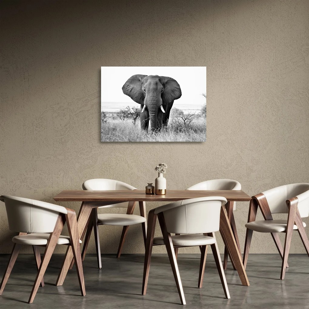Tablou pe sticlă - Elefantul african II. (70x50 cm)