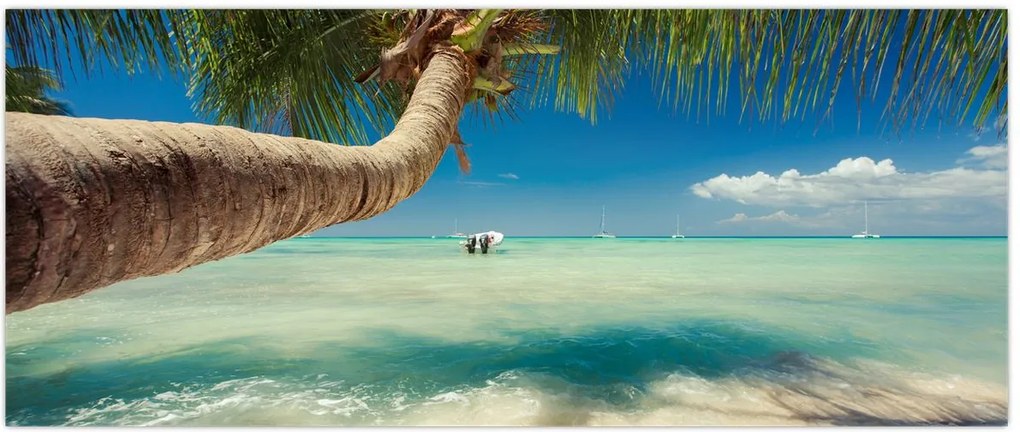 Tablou - Mare curată cu palmier (120x50 cm)