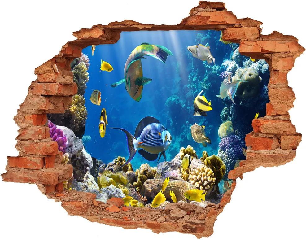 Fototapet un zid spart cu priveliște Recif de corali
