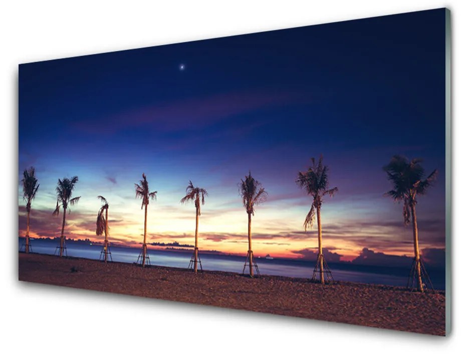 Tablouri acrilice Palm Trees Sea Beach Peisaj Maro Albastru