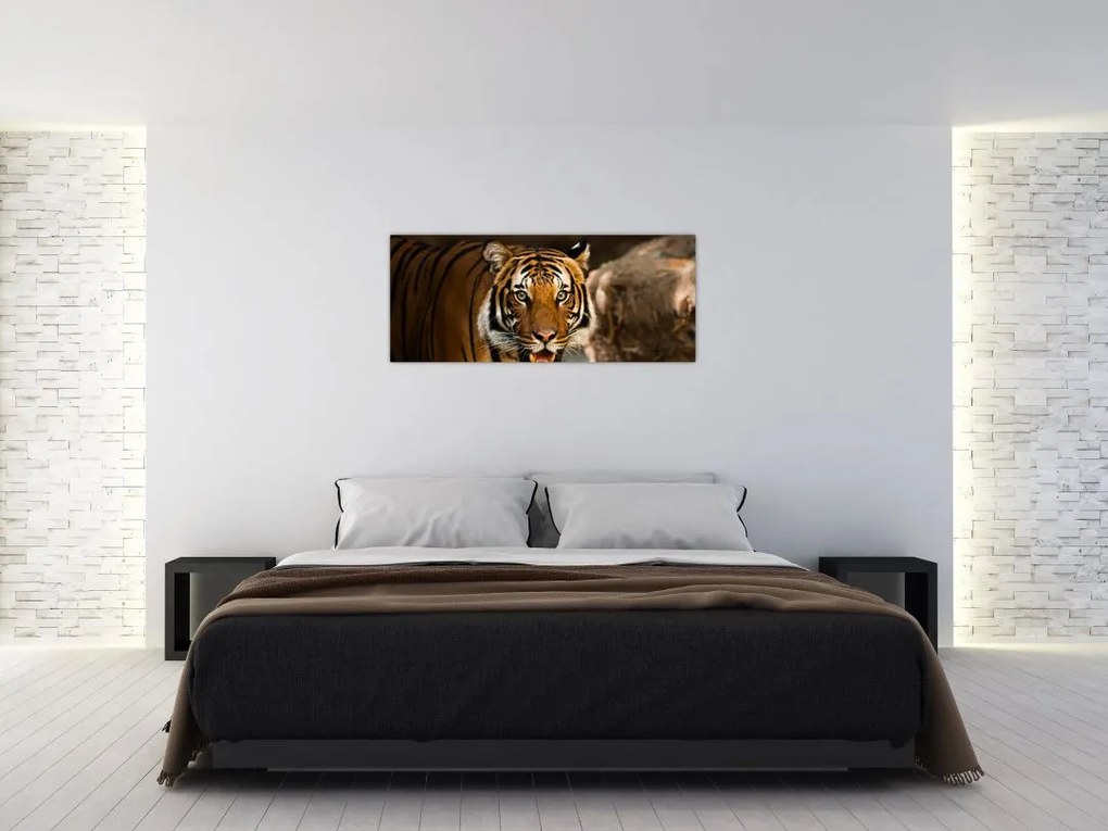 Tablou cu tigrul (120x50 cm)