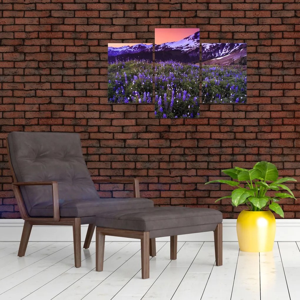 Tablou - Vulcan și flori (90x60 cm)