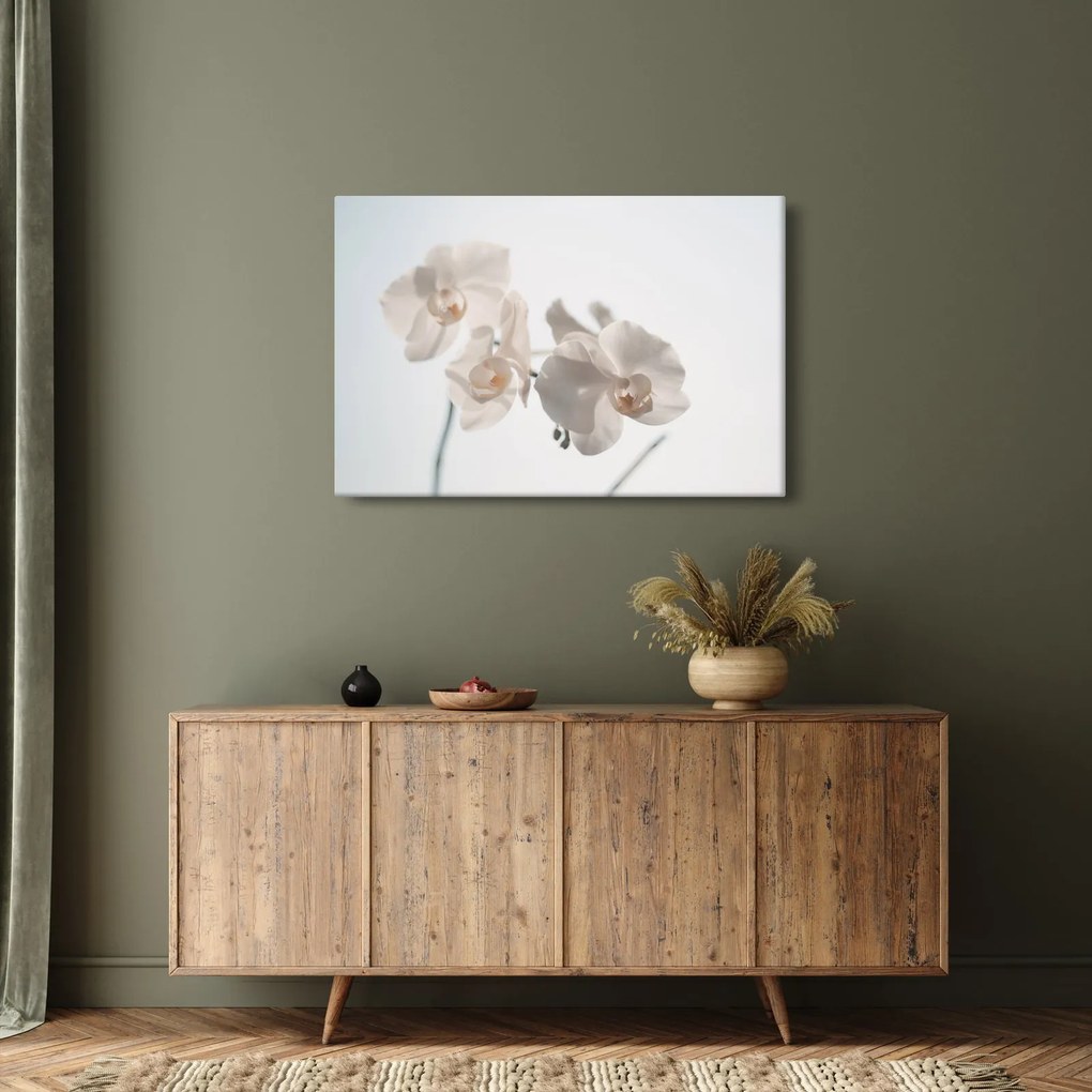 Tablou cu orhidee albă (90x60 cm)