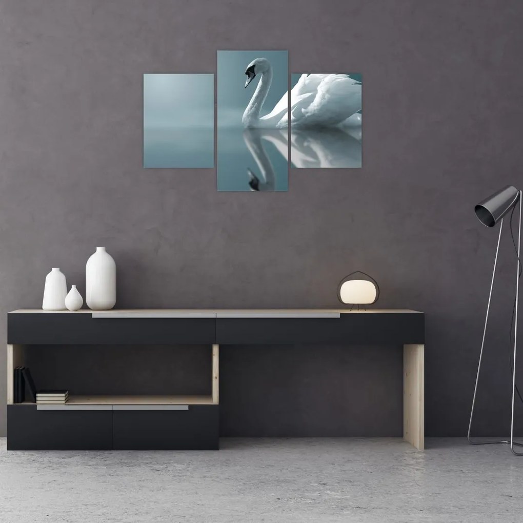 Tablou -Lebădă albă (90x60 cm)