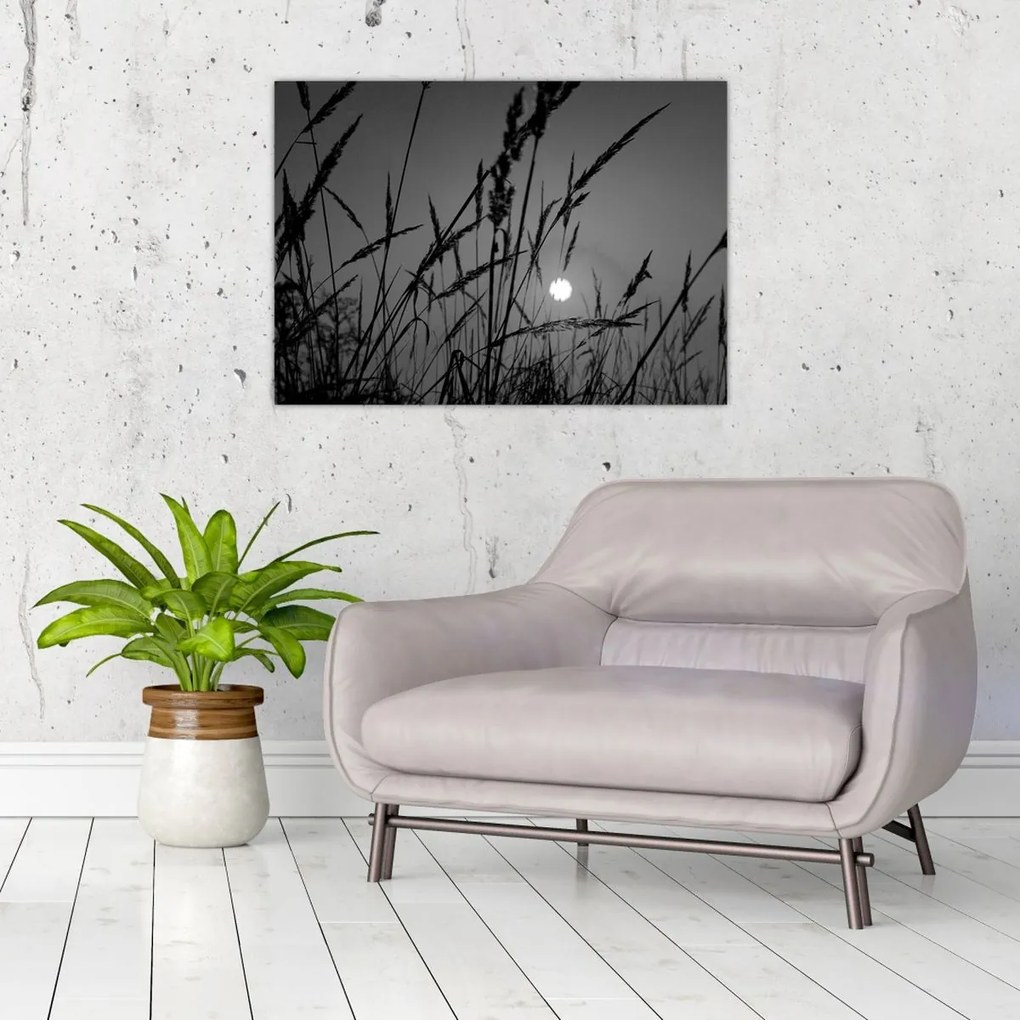 Tablou pe sticlă - Pajiște cu apus de soare (70x50 cm)