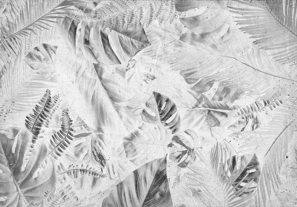 Fototapet - Frunze (152,5x104 cm)