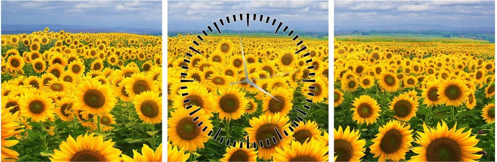 Tablou cu lan de floarea soarelui (cu ceas) (90x30 cm)