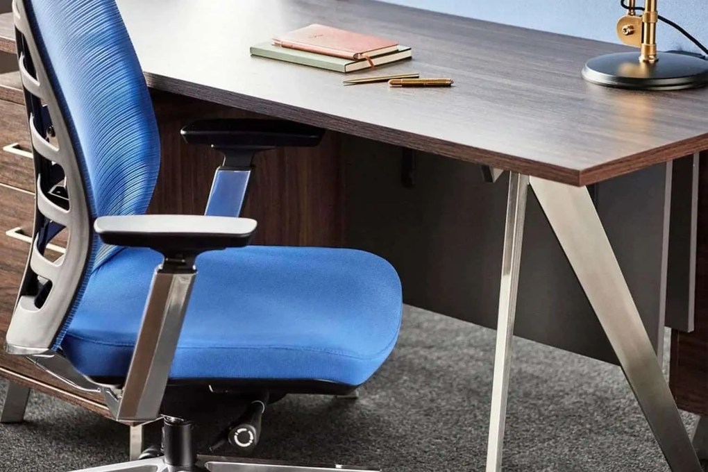 Scaun de birou, ErgoPrime, Pernă de Asiento Confortabilă - Negru