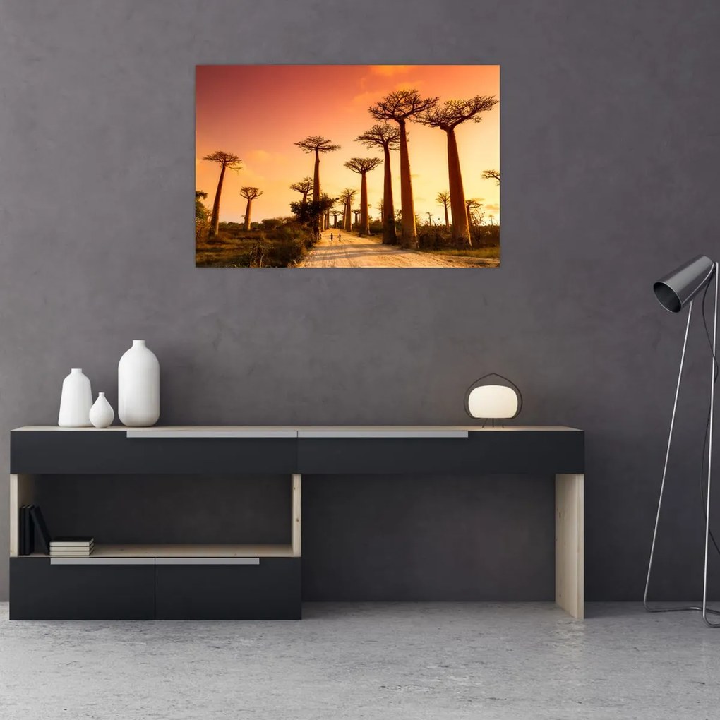 Tablou - Apus de soare pe Aleea Baobabilor (90x60 cm)