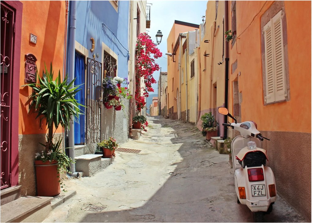 Tablou cu strada din Sardinia (70x50 cm)