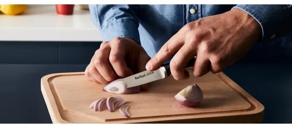 Tefal - Set de cuțite de bucătărie ICE FORCE cu suport, 4 piese