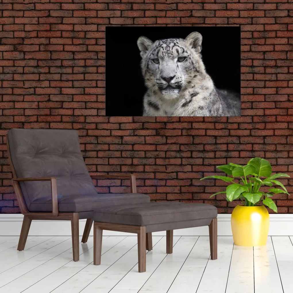 Tablou - Snow Leopard (90x60 cm)