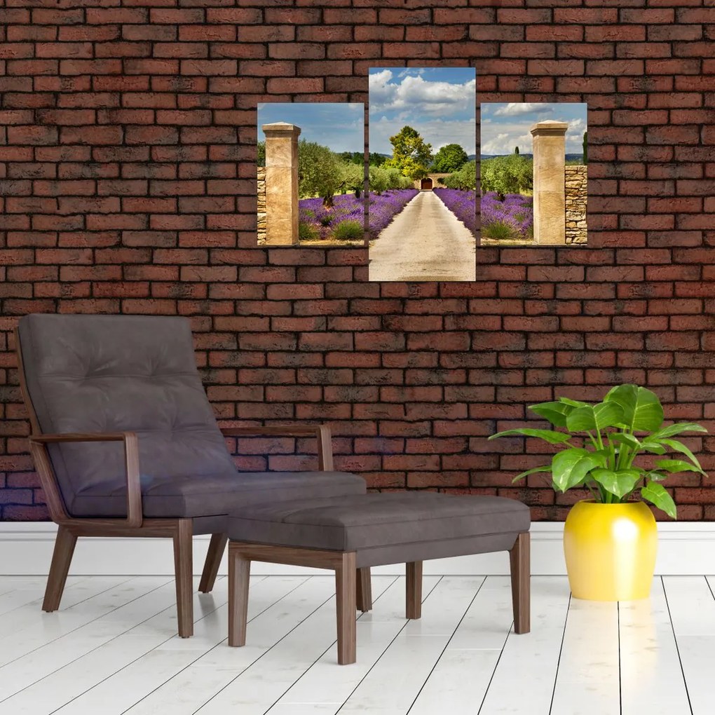 Tablou - Căi de lavandă (90x60 cm)