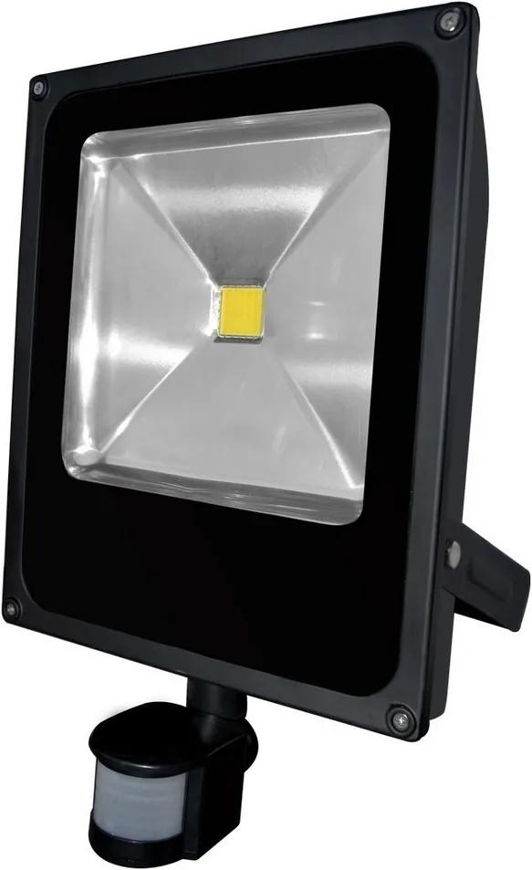 LED Proiector cu senzor de mișcare DAISY LED/50W/230V IP44