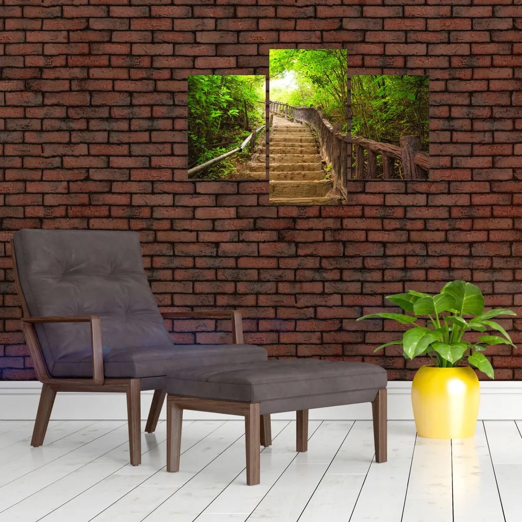 Tablou - Scări în natură (90x60 cm)