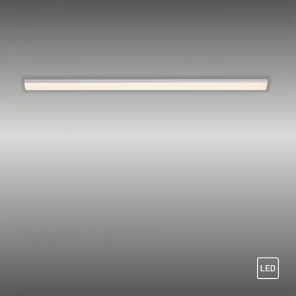 Paul Neuhaus 1125-21-A - Lumină LED AMON sub mobilier LED/6W/12/230V