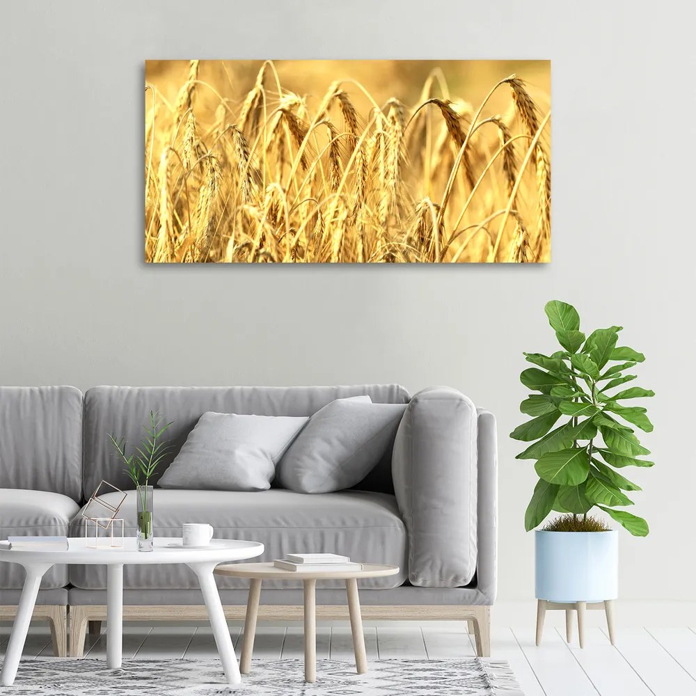 Tablou pe pânză canvas Cereale
