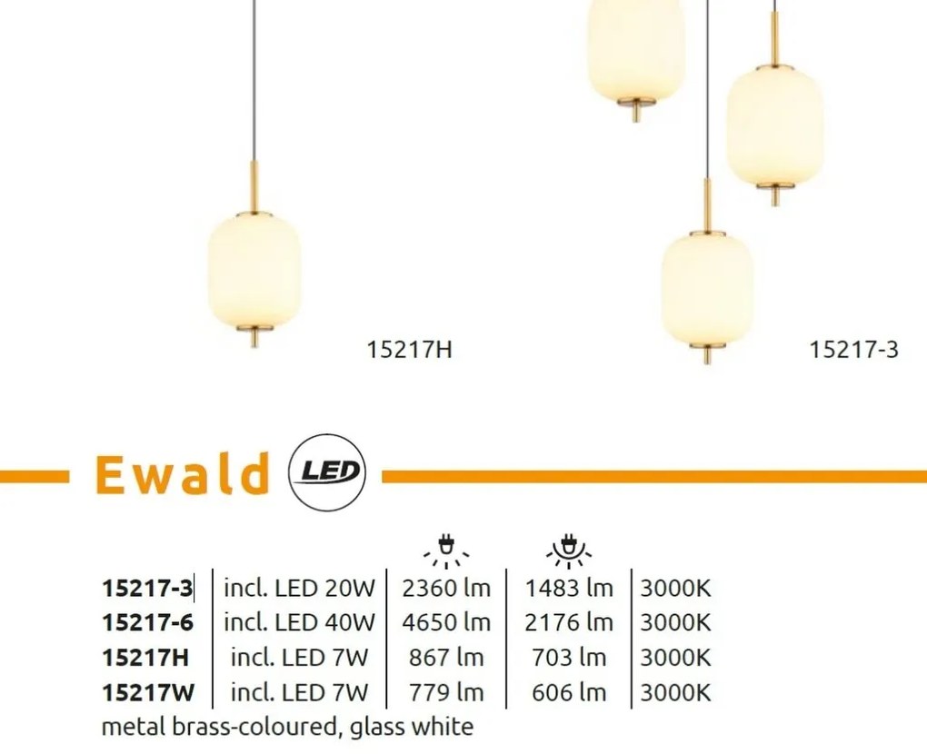 Aplica de perete LED design modern EWALD