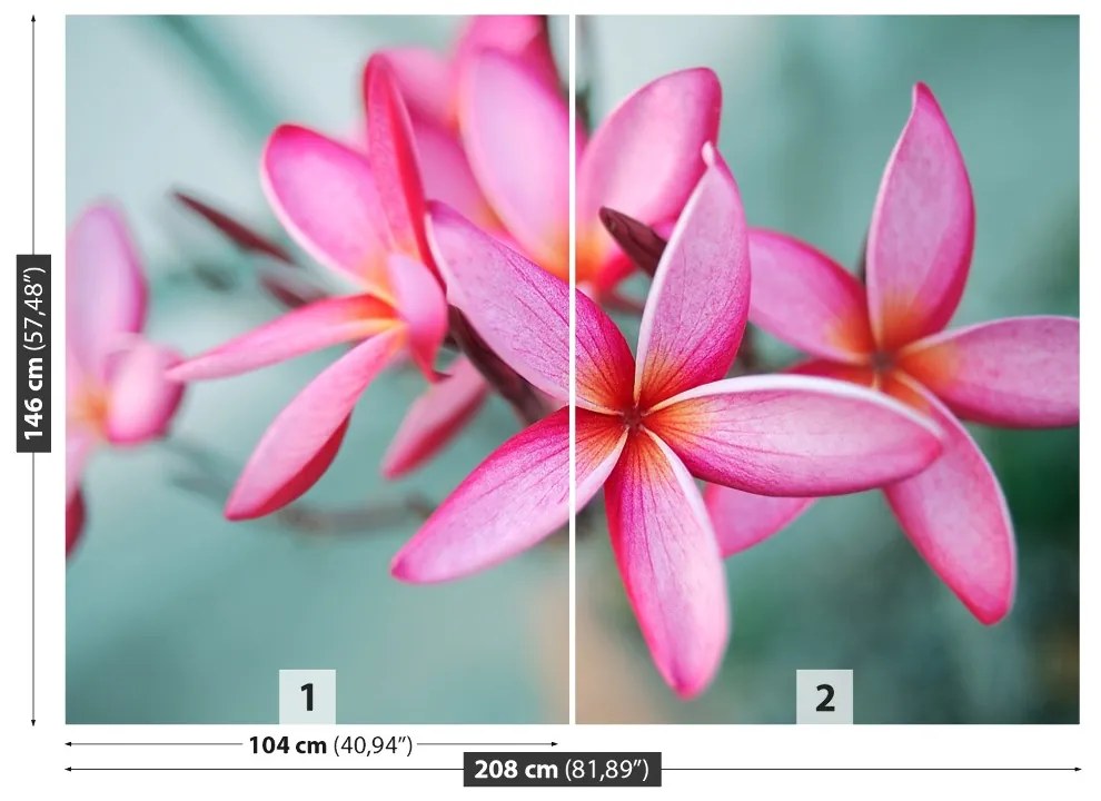 Fototapet Pink Plumeria