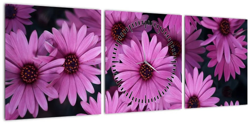 Tablou cu florile roz (cu ceas) (90x30 cm)