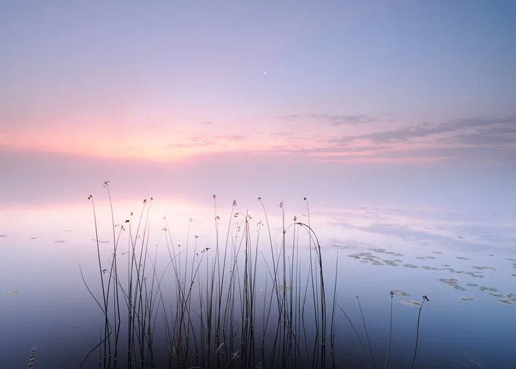 Fotografie Lake, keller