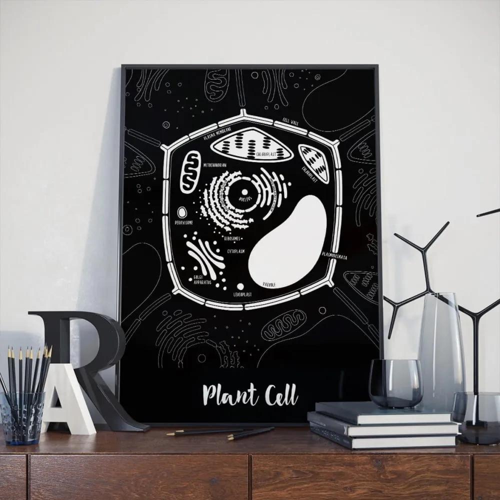 Poster Follygraph Plant Cell Black, 30 x 40 cm