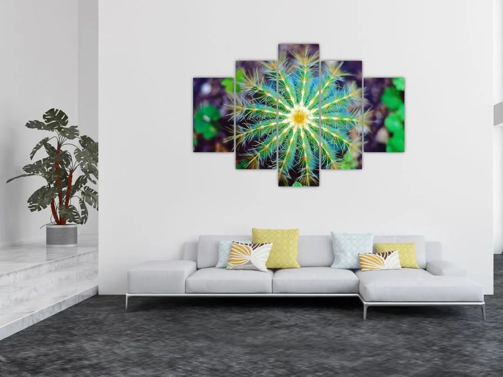Tablou cu cactus (150x105 cm)