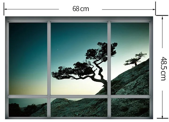 Sticker perete Baobas Tree 3D Window