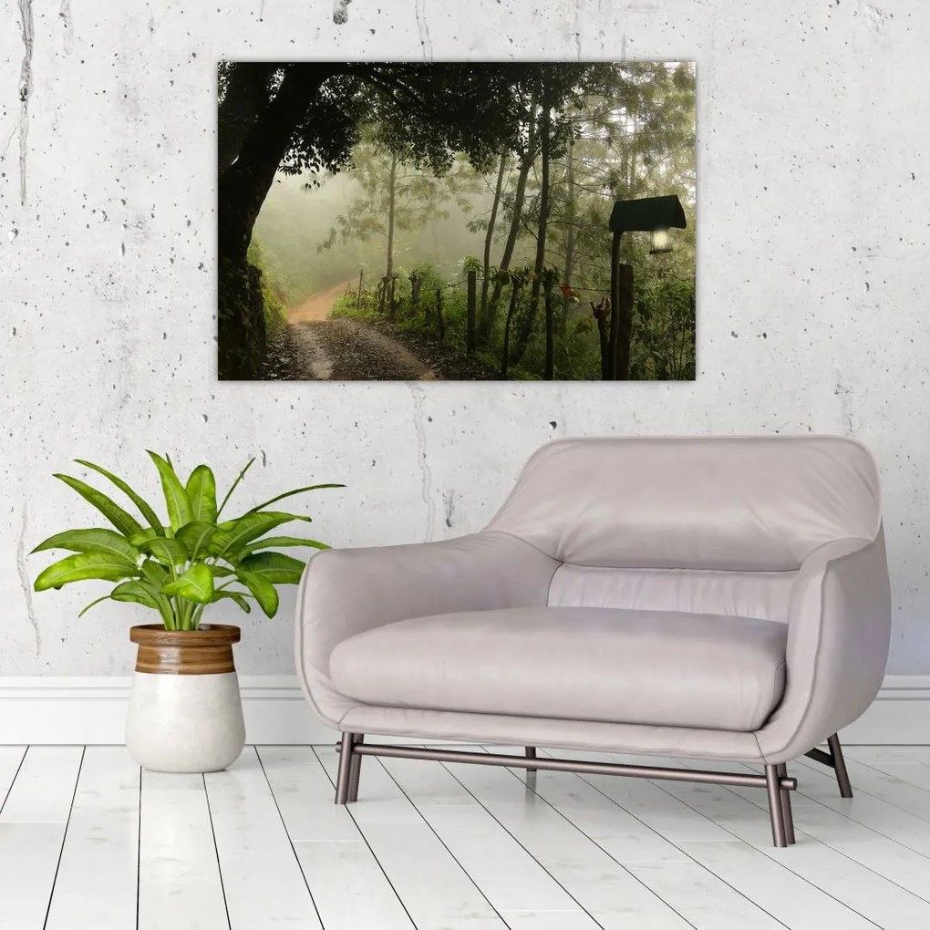 Tablou cu ceața de dimineața (90x60 cm)