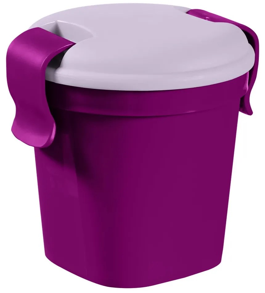 Cutie pentru prânz Lunch & Go – Curver