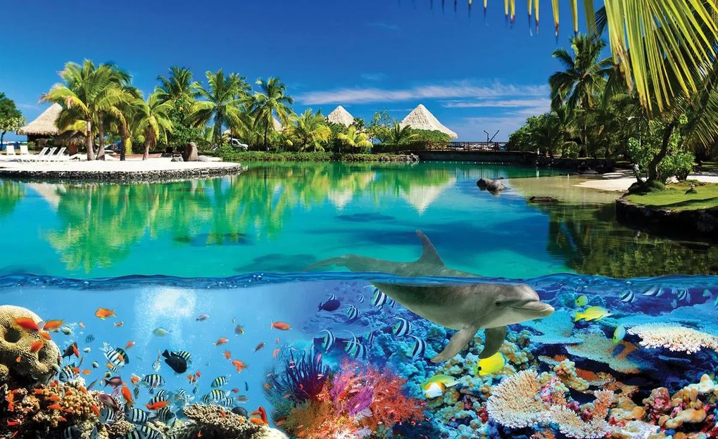 Fototapet - Recif de corali și Maldive (254x184 cm)