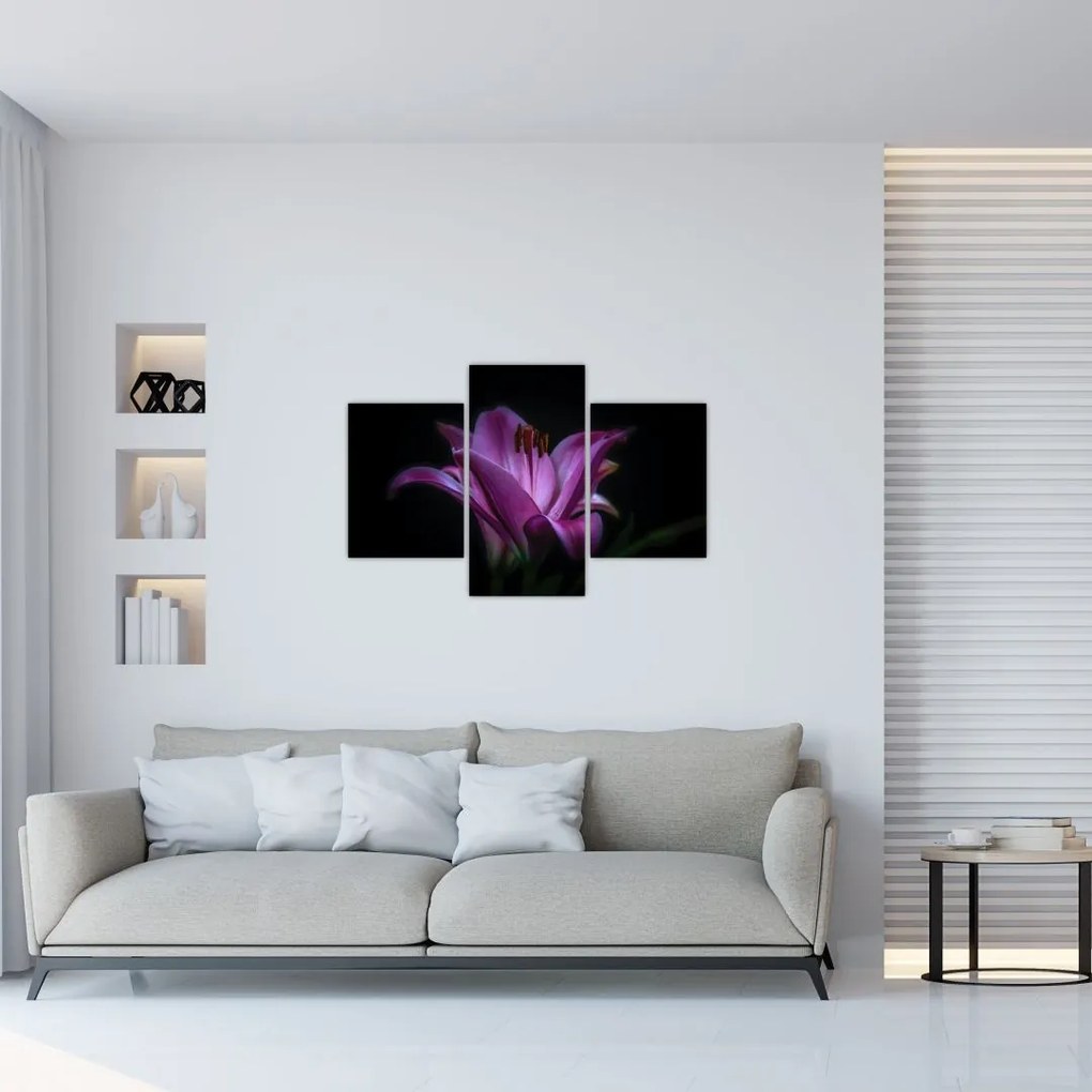 Tablou crinul (90x60 cm)