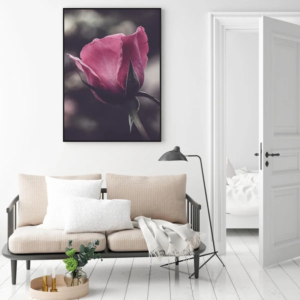 Poster - Floarea de trandafir (A4)