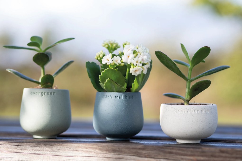 Räder Vas din ceramica Culoare Verde, EVERGREEN