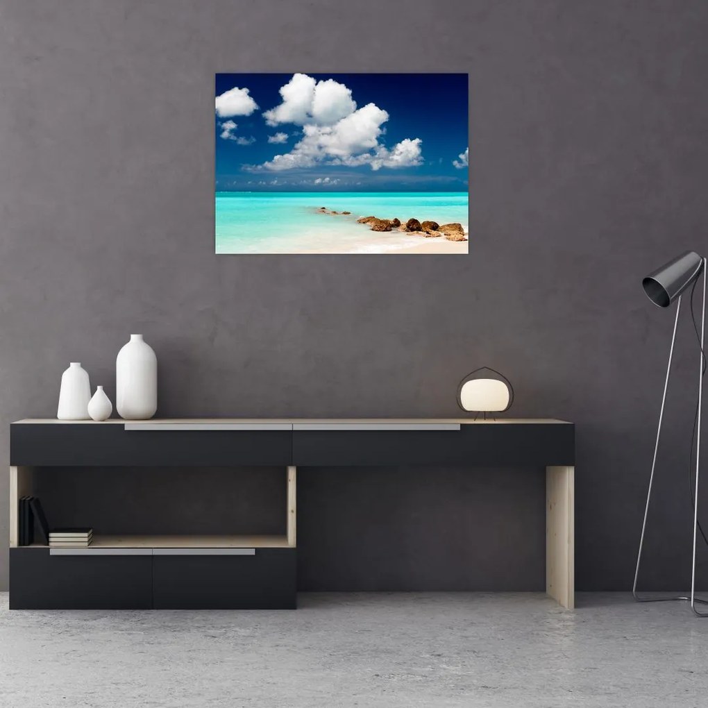 Tablou cu mare (70x50 cm)