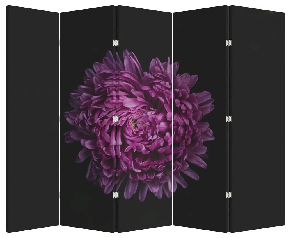 Paravan - Floare violetă (210x170 cm)