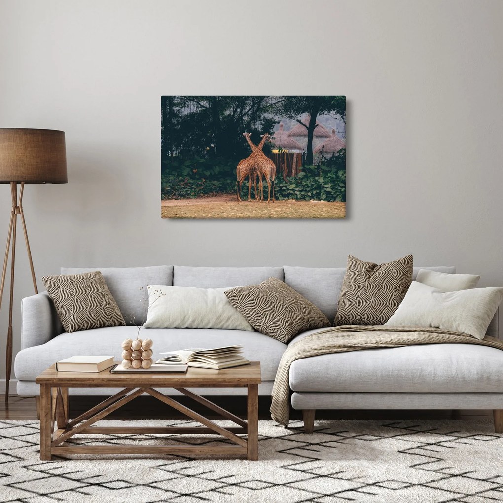 Tablou cu două girafe (90x60 cm)