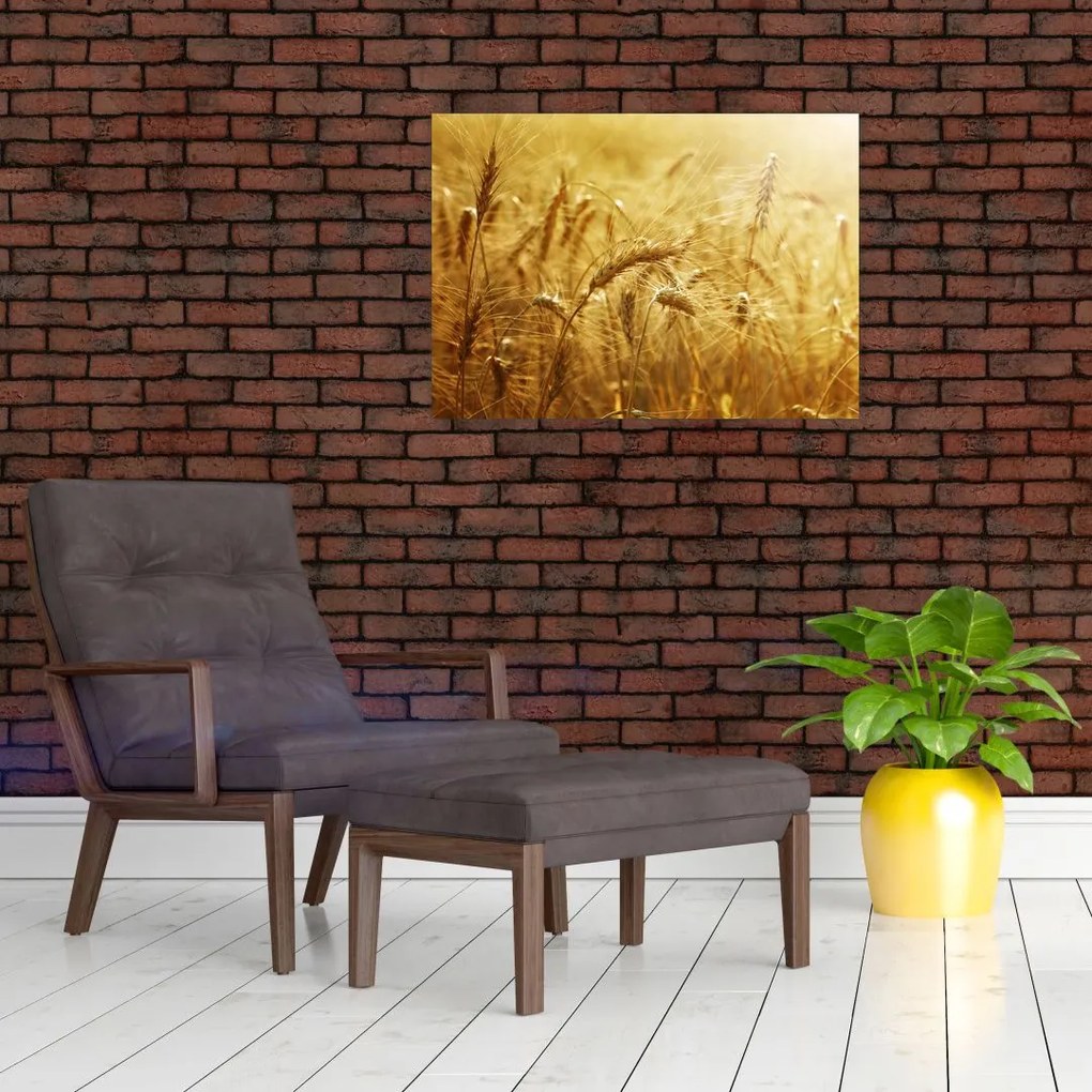 Tablou - Spice de cereale (70x50 cm)