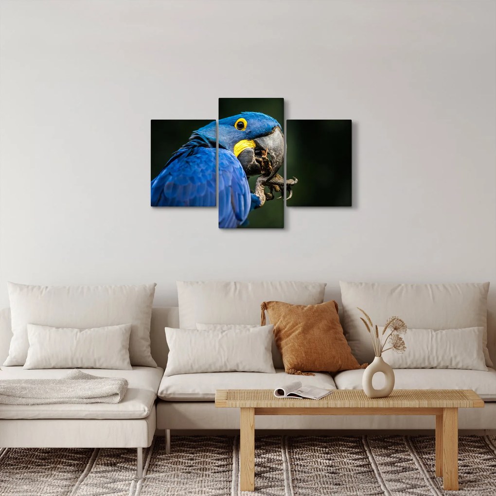 Tablou cu papagal (90x60 cm)