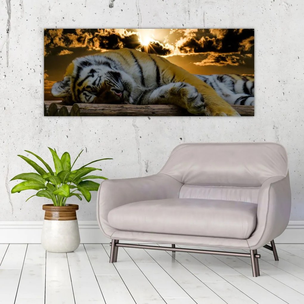 Tablou tigrul dormind (120x50 cm)