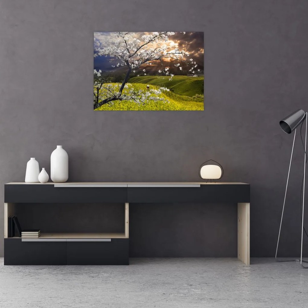Tablou pe sticlă - Peisaj cu pomul înflorit (70x50 cm)