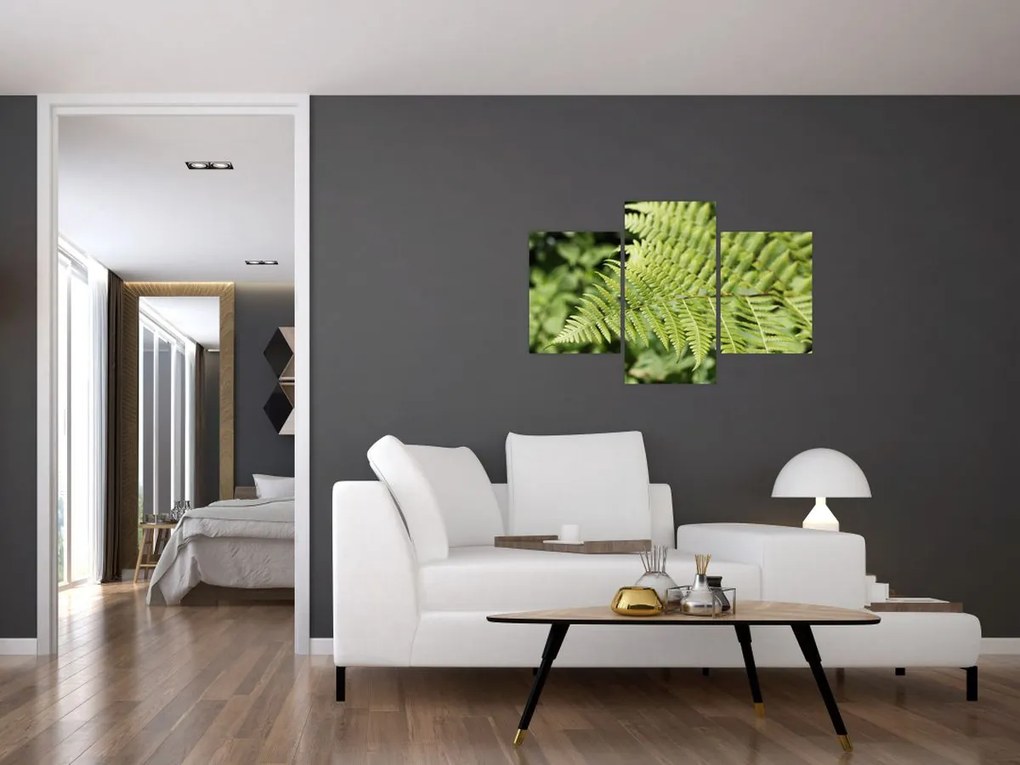 Tablou - Frunză de ferigă (90x60 cm)