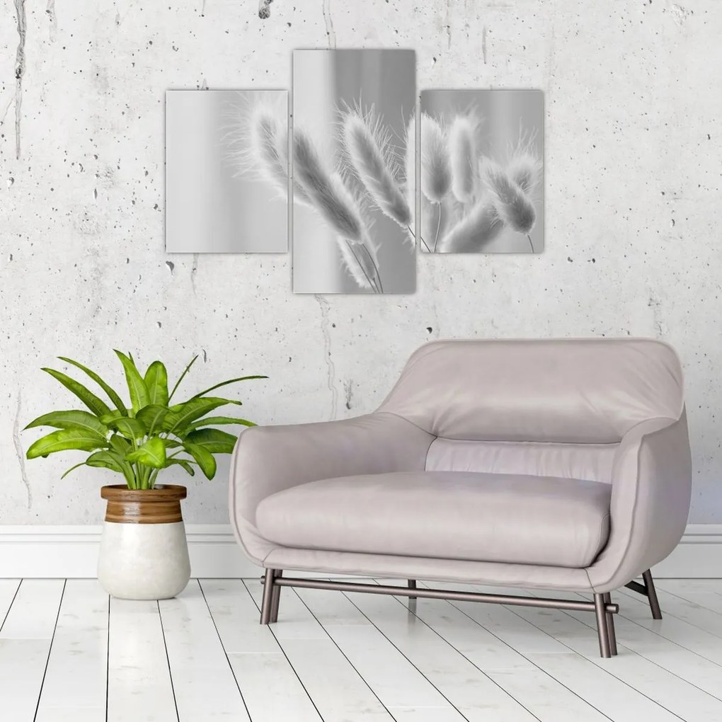 Tablou - Iarbă de coadă de iepure (90x60 cm)