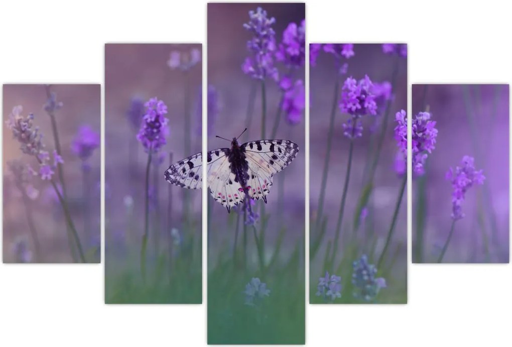 Tablou - fluture în lavandă (150x105 cm)