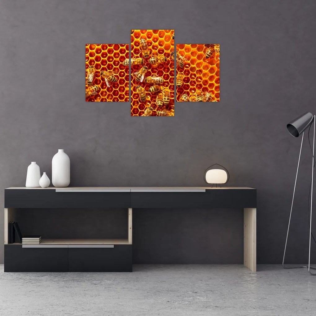Tablou - Fagure de miere (90x60 cm)