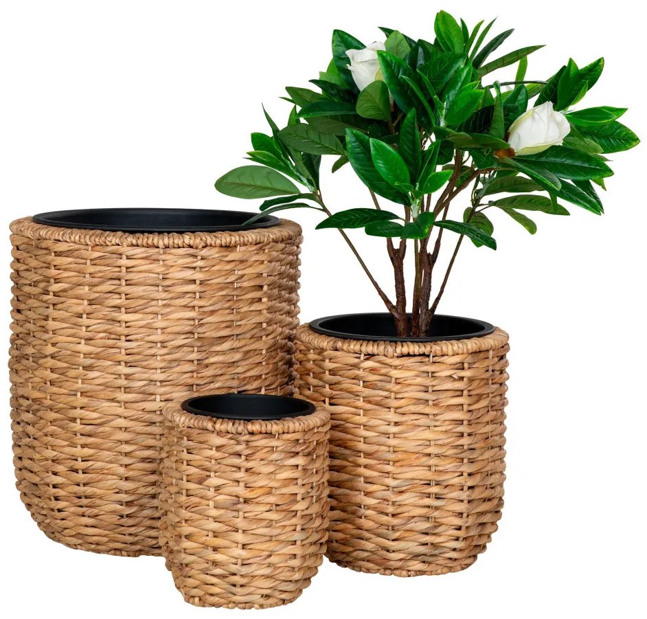 Ghiveci Hanoi din răchită, jacint de apă, natural, set de 3