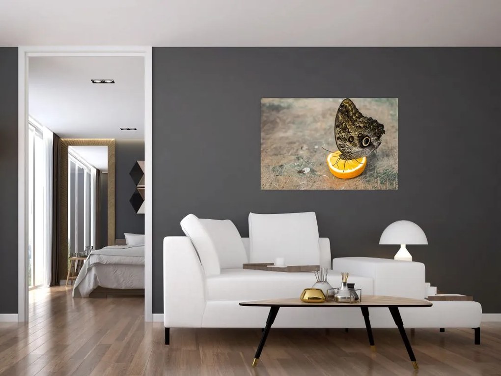 Tablou cu fluturi (90x60 cm)
