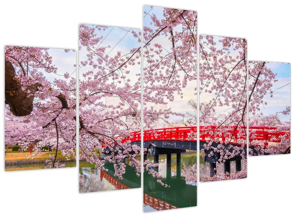 Tablou - Hirosaki, Japonia (150x105 cm)